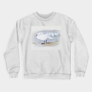 Bewick's Swan by Archibald Thorburn Crewneck Sweatshirt